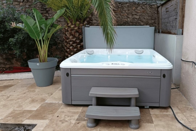 Spa sur terrasse à côté d'un palmier