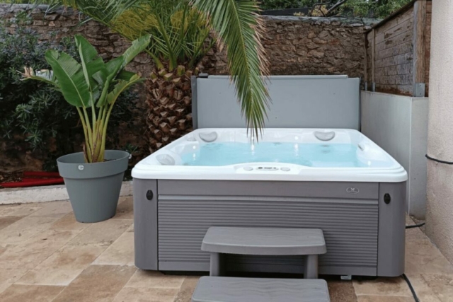 Spa sur terrasse à côté d'un palmier