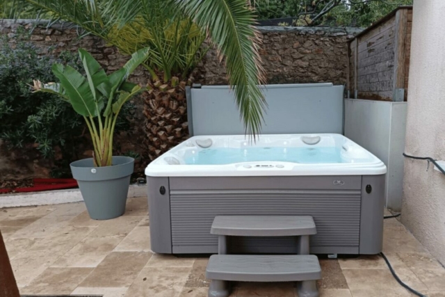 Spa sur terrasse à côté d'un palmier