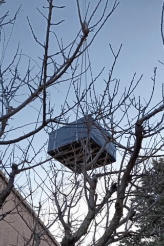 Transport aérien du SPA Caldera Palatino entre les arbres à Mèze